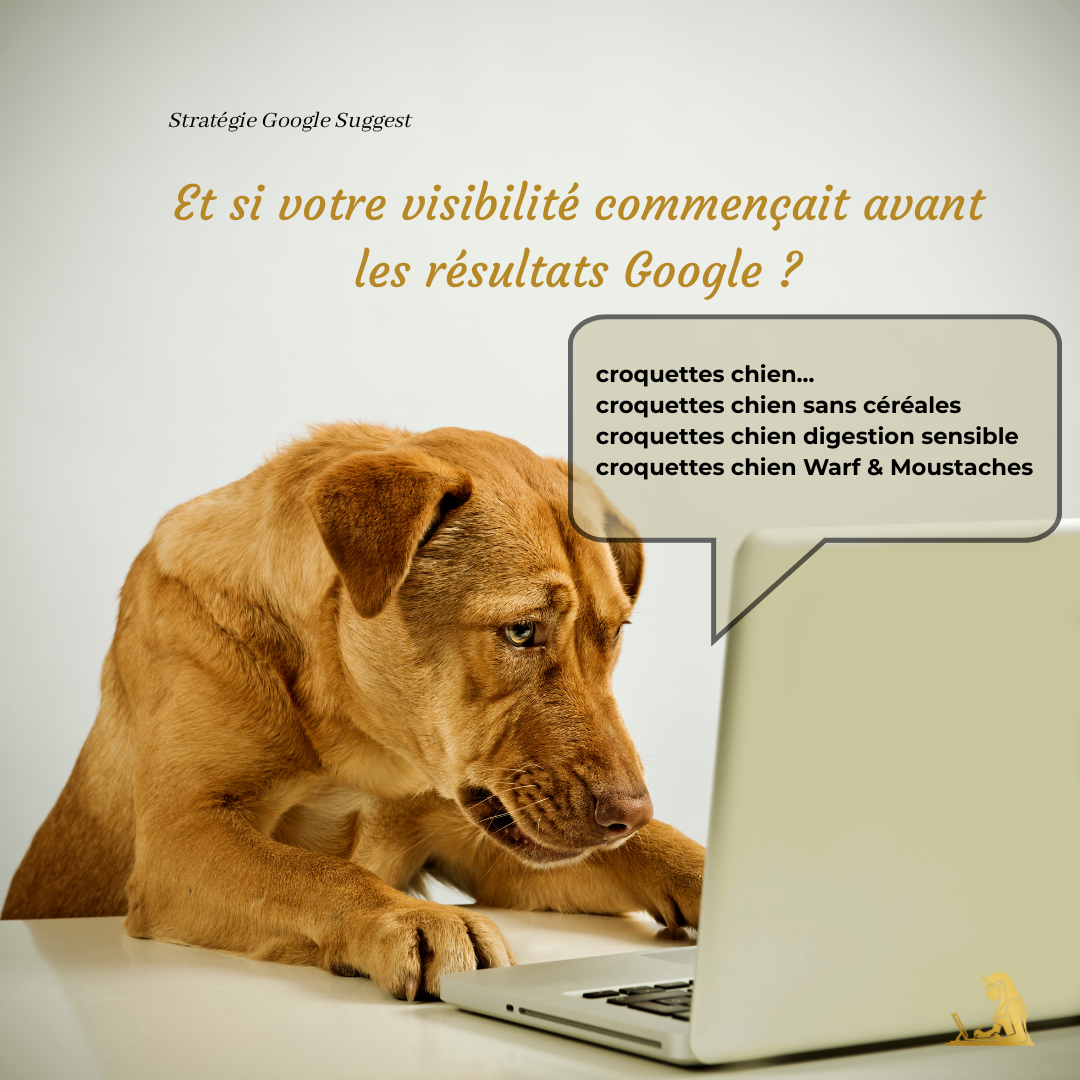 Article Google Suggest par Magali Laguillaumie I Scribe web