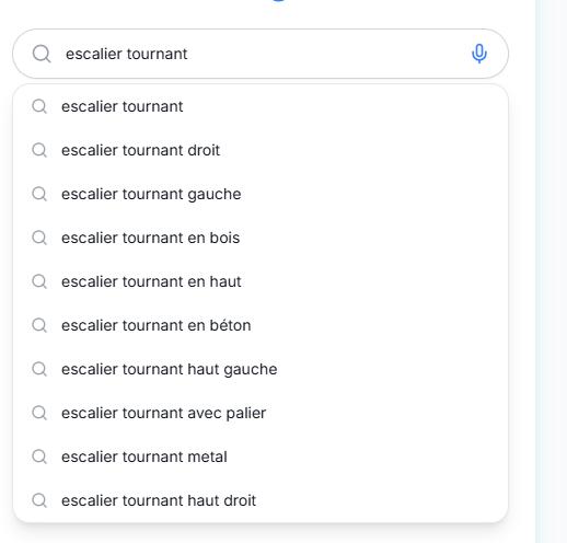 Positionnement Google Suggest