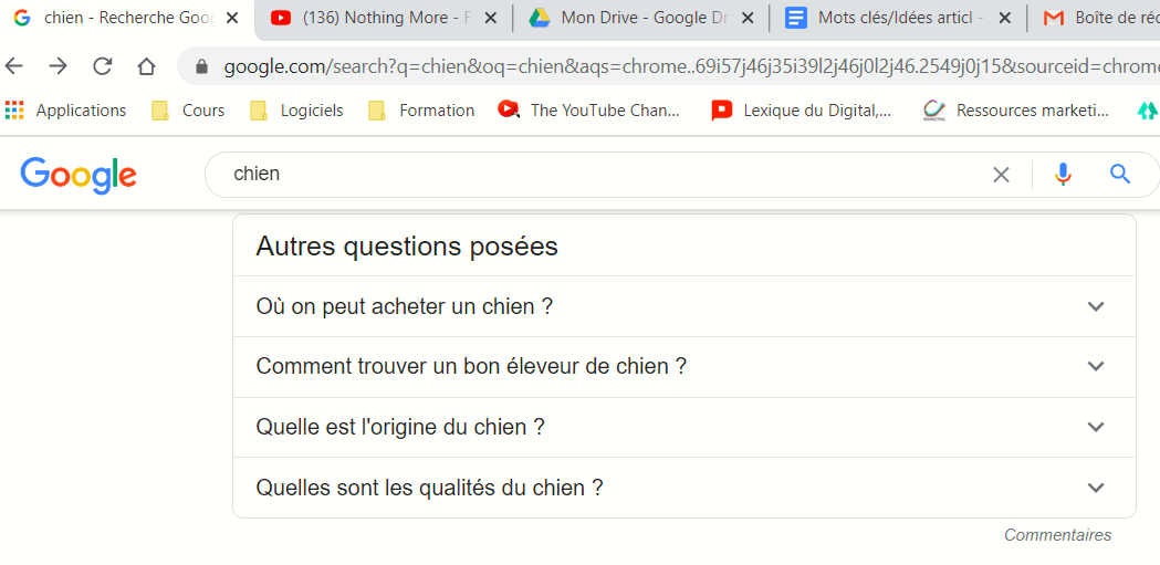 people alsoask Google