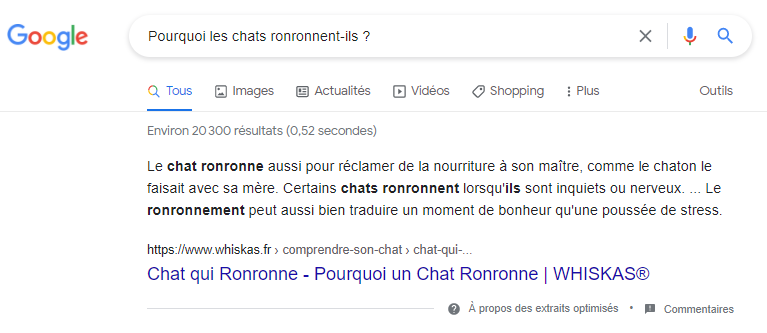 Pourquoi les chats ronronnent