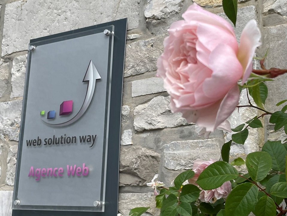 la mission de Web Solution Way