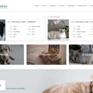 site d’annonces animalières Animalweb